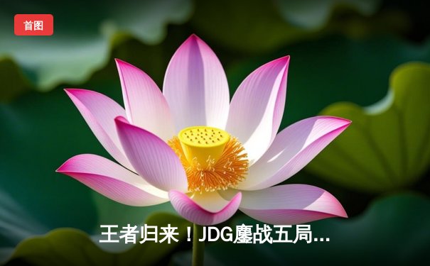 王者归来！JDG鏖战五局力克TES，勇夺LPL夏季赛总冠军