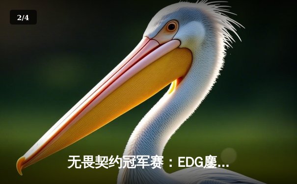 无畏契约冠军赛：EDG鏖战五局惊险晋级八强，康康决胜局狂砍28杀主宰比赛 - 2